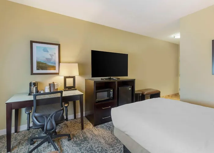 Spark By Hilton Wilmington Carolina Beach Rd